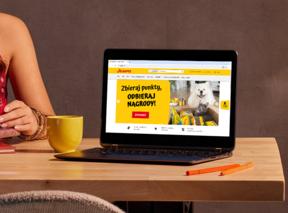 f953f3711be4e433a798b6f262434f5c5b41d65b-magentoplug2